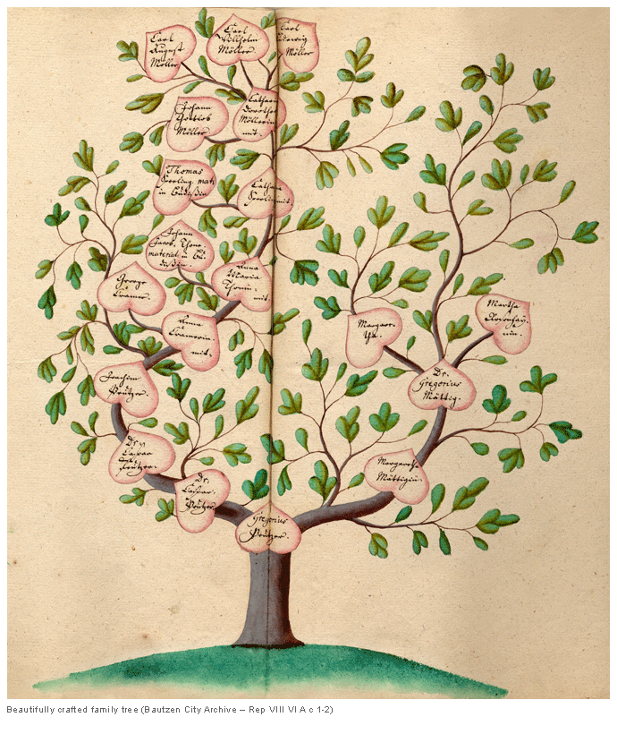 Beautifully crafted family tree (Bautzen City Archive  Rep VIII VI A c 1-2)